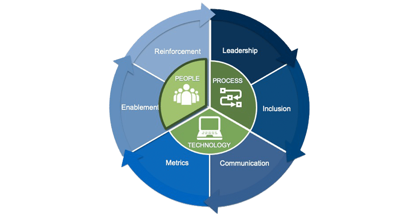 Change Mgt Principles